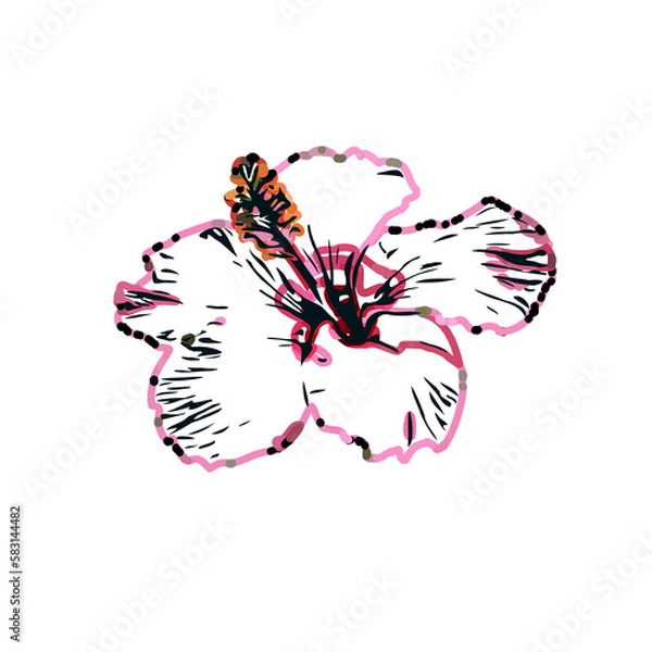 Fototapeta Color sketch of a shoe flower with transparent background