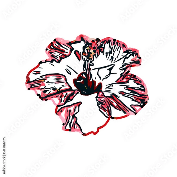 Fototapeta Color sketch of a shoe flower with transparent background