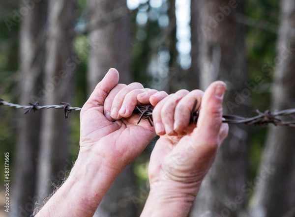 Obraz hands clasped on barbed wire