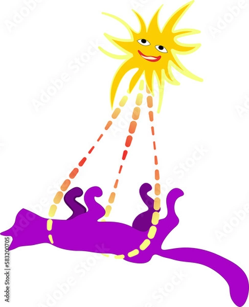 Obraz Cute funny cat rides in the sun