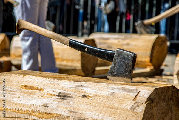 Fototapeta Aizkolaris, Basque rural sport.