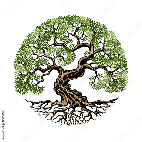 Fototapeta tree root illustration vector design with circle shape