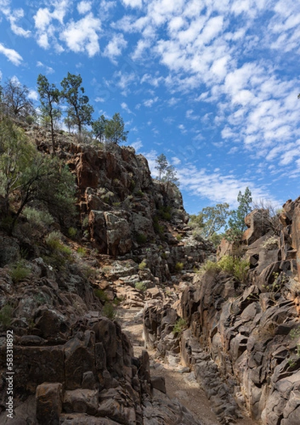 Fototapeta landscape with sky