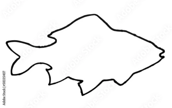 Obraz Outline of a fish
