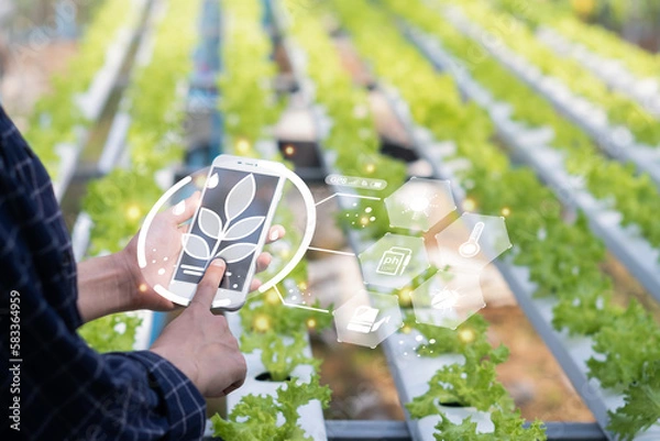 Obraz Agriculture technology farmer woman using  mobile phone computer analysis data and visual icon. Smart farm concept..