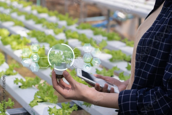 Obraz Agriculture technology farmer woman using  mobile phone computer analysis data and visual icon. Smart farm concept..