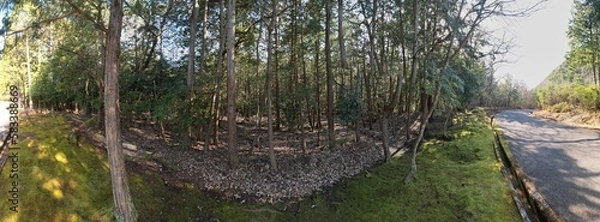 Obraz 山陰海岸国立公園　かぶと山の原野　ドローンパノラマ撮影