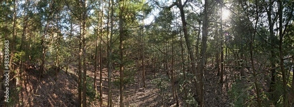 Fototapeta 山陰海岸国立公園　かぶと山の原野　ドローンパノラマ撮影