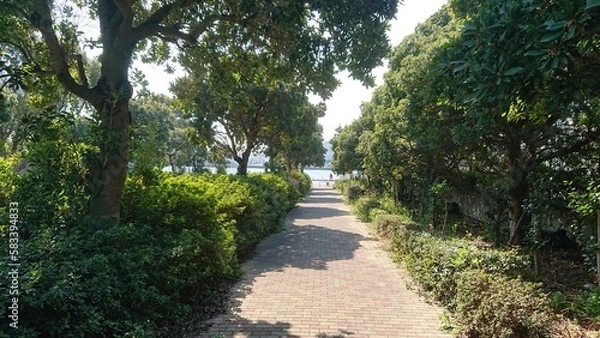 Fototapeta path in the park