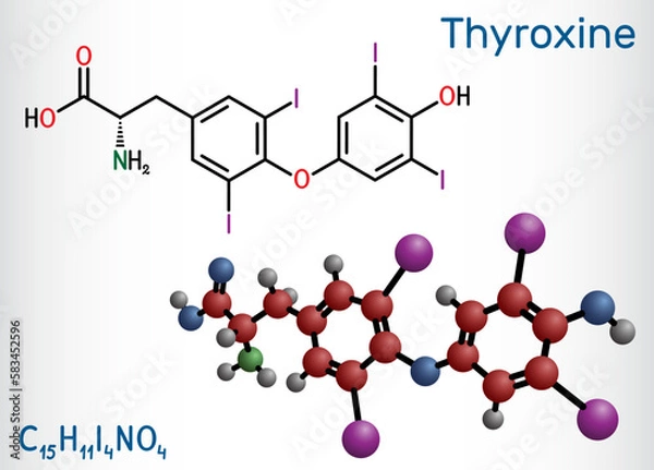 Fototapeta Thyroxine, T4, levothyroxine molecule. It is thyroid hormone, prohormone of thyronine T3, used to treat hypothyroidism. Structural chemical formula, molecule model.