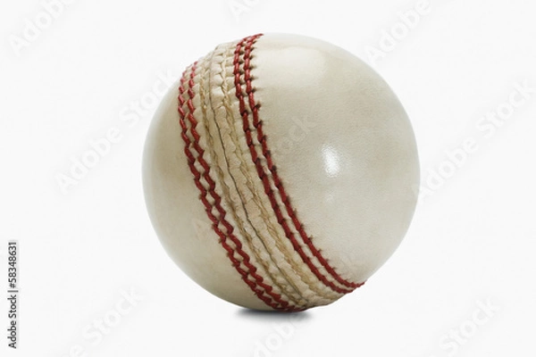 Obraz Close-up of a cricket ball