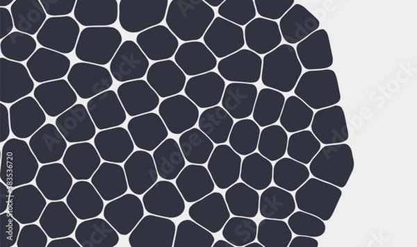 Obraz Abstract scientific background with cells or cell membranes. Black and white design. Vector illustration for print, textile, fabric, package, wrapping or cover.