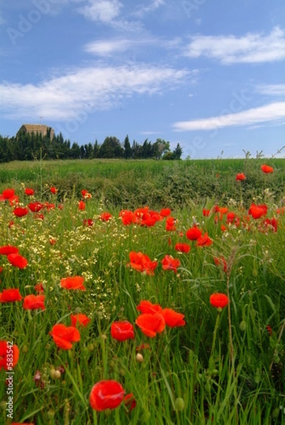 Fototapeta printemps