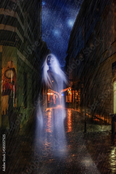 Obraz fairy tale cityscape under heavy rain on the stone pavement in old town at night
