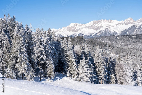 Fototapeta Winter forest in Seefeld, Austria