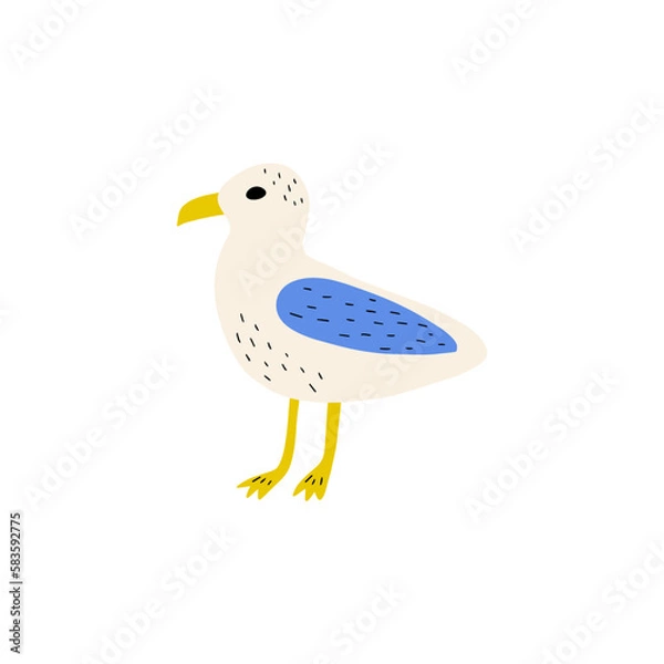 Obraz Seagull. Atlantic seabird. Marine Animal Vector illustration on white background.
