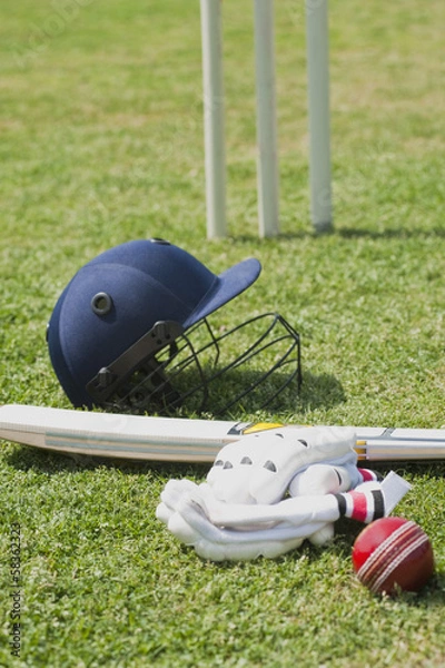 Obraz Cricket batting gears in a field