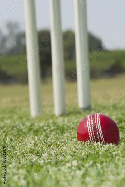 Obraz Cricket ball on grass