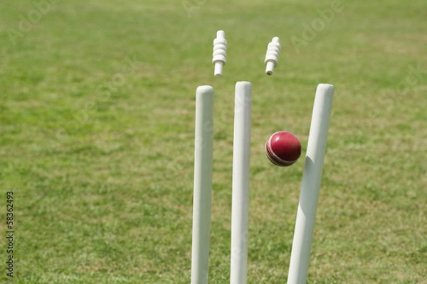 Obraz Cricket ball hitting stumps