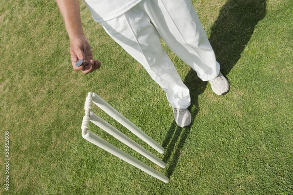 Obraz High angle view of a cricket player tossing a coin