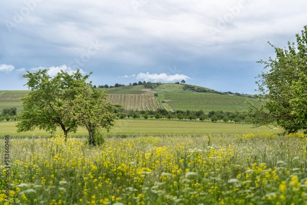 Obraz Geiersberg Armsheim - Rheinhessen