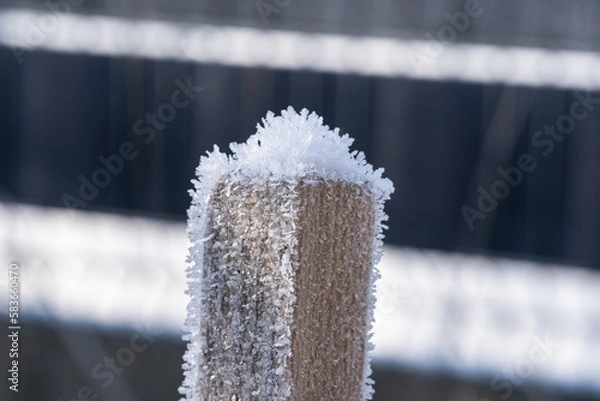 Obraz Eiskristalle auf Holzpfosten