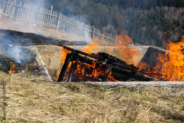 Obraz Wood logs burn in an orange flame with smoke. Background of burning wooden boards with nails