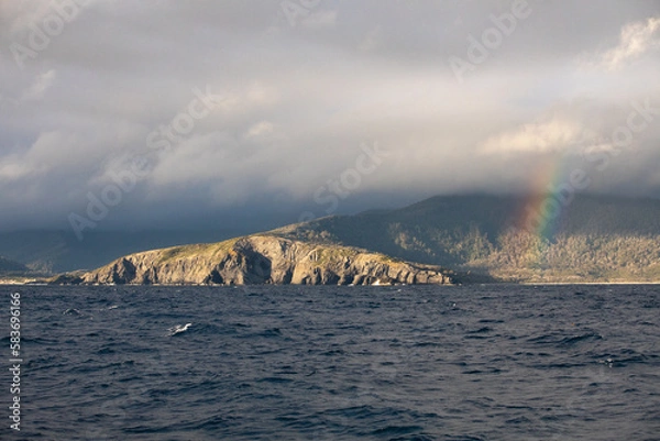 Fototapeta Tasmanian Summer Select