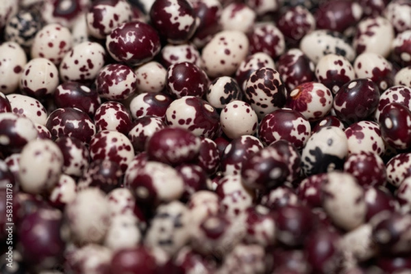 Obraz Nuna Peruvian Popping Beans