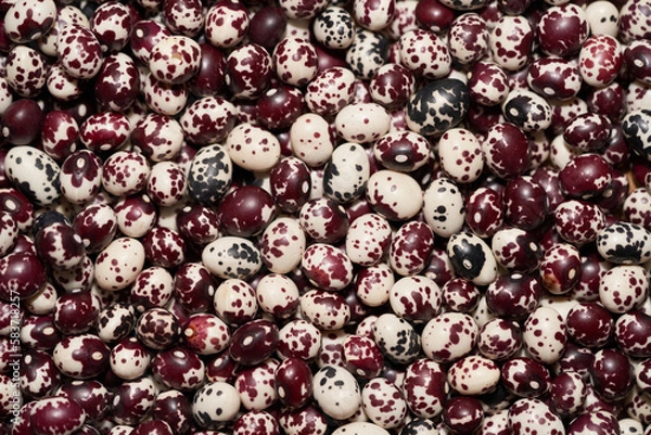 Obraz Nuna Peruvian Popping Beans