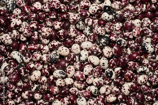 Obraz Nuna Peruvian Popping Beans