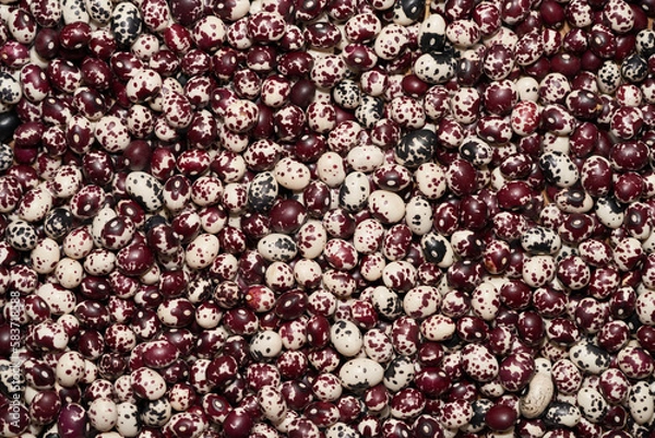 Obraz Nuna Peruvian Popping Beans