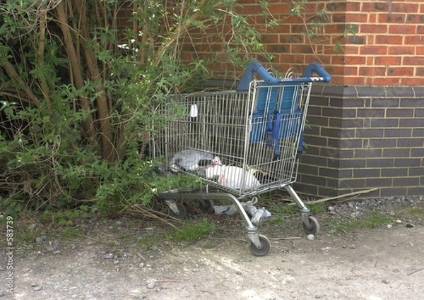Obraz discarded supermarket trolley