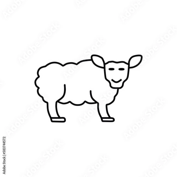 Fototapeta fat sheep