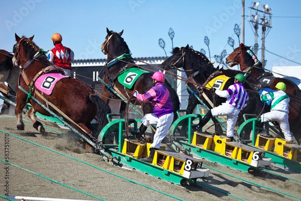 Fototapeta ばんえい競馬（帯広市）