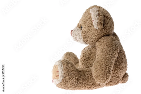 Obraz Sitting teddy bear - isolated on white.