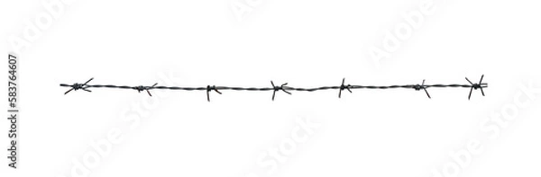 Obraz Rusty barbed wire isolated on a white background