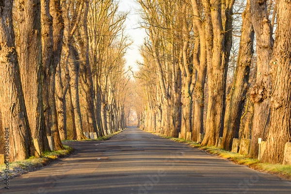 Obraz Werderscher Damm