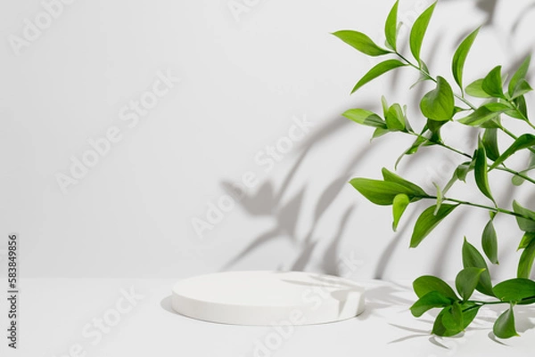 Fototapeta Empty white round podium, natural branches and green leaves with shadows on grey background. Pedestal for product presentation. Mockup for eco beauty cosmetic advertising. Copy space, front view.