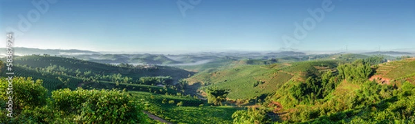 Obraz Tea plantations Puer