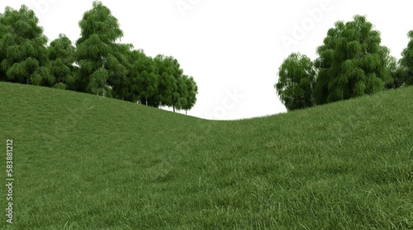 Fototapeta Realistic grass hill and forest tree line. 3d rendering of isolated objects.