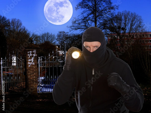 Obraz Einbrecher im Mondschein