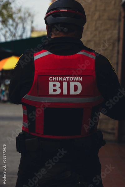 Obraz Security on Duty