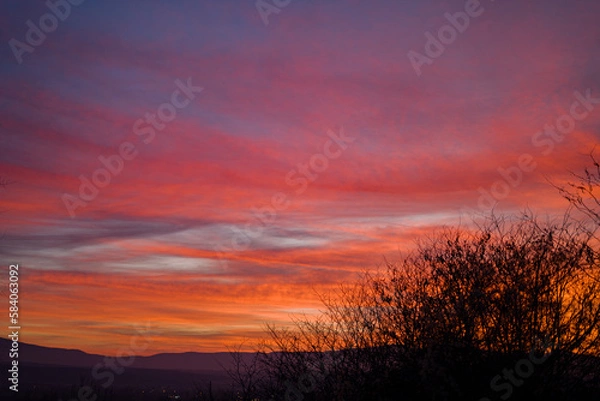 Obraz sunset in the forest