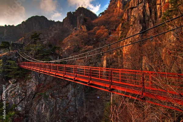 Obraz Daedunsan Mountain Suspension Brdige