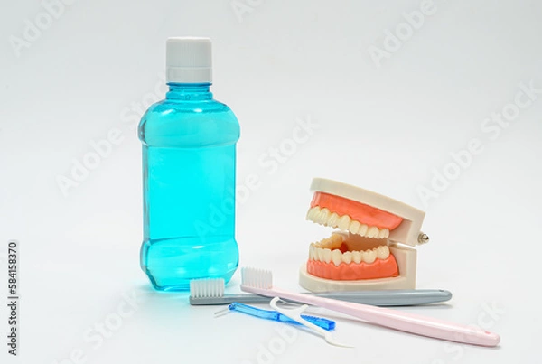 Obraz 이빨 모형과 구강 청정제와 칫솔