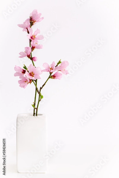 Obraz Spring flowers isolated on white, with clipping path. Minimalistic style pink spring flowers in white vertical background