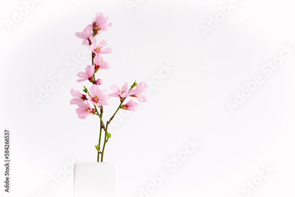 Fototapeta Spring flowers isolated on white, with clipping path. Minimalistic style pink spring flowers in white