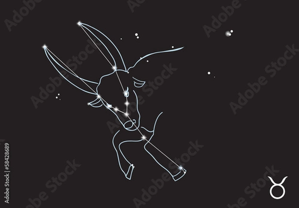 Fototapeta Taurus constellation