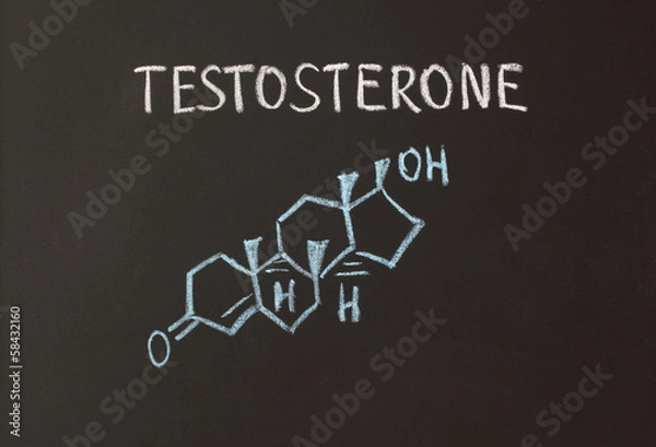 Obraz testosterone